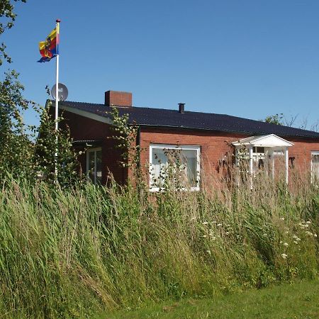 Grosse Haffdeich Villa Dagebüll Exteriör bild